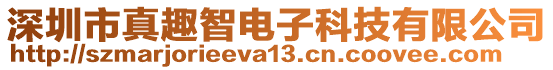 深圳市真趣智電子科技有限公司