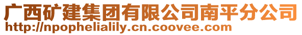 廣西礦建集團有限公司南平分公司