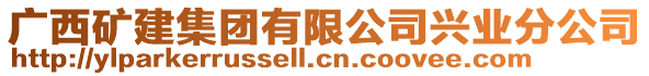 廣西礦建集團有限公司興業分公司