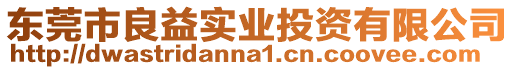 東莞市良益實(shí)業(yè)投資有限公司