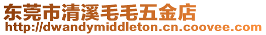 東莞市清溪毛毛五金店
