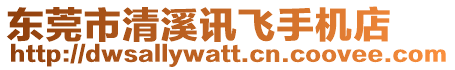 東莞市清溪訊飛手機店