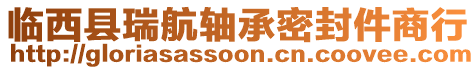 臨西縣瑞航軸承密封件商行