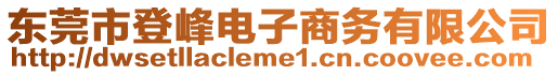 東莞市登峰電子商務有限公司
