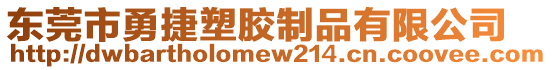 東莞市勇捷塑膠制品有限公司