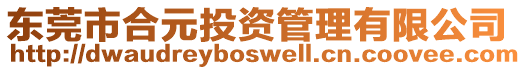 東莞市合元投資管理有限公司
