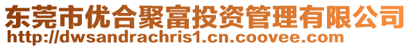 東莞市優合聚富投資管理有限公司
