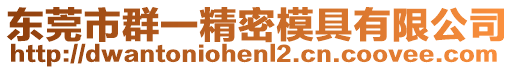 東莞市群一精密模具有限公司