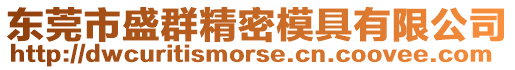 東莞市盛群精密模具有限公司