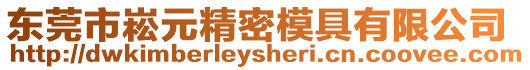 東莞市崧元精密模具有限公司
