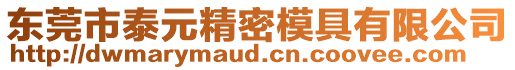 東莞市泰元精密模具有限公司