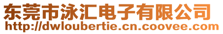 東莞市泳匯電子有限公司