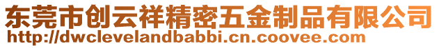 東莞市創云祥精密五金制品有限公司