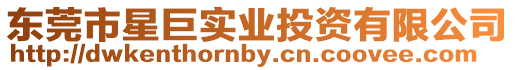 東莞市星巨實業投資有限公司