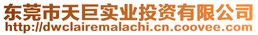 東莞市天巨實業投資有限公司