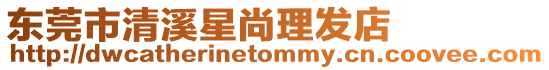 東莞市清溪星尚理發店