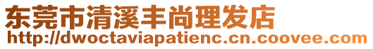 東莞市清溪豐尚理發(fā)店