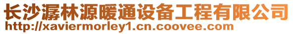 長沙潺林源暖通設備工程有限公司