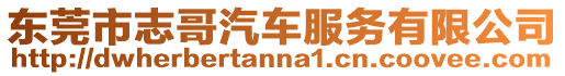 東莞市志哥汽車服務有限公司