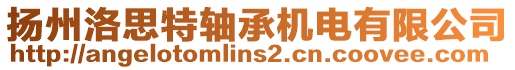 揚(yáng)州洛思特軸承機(jī)電有限公司