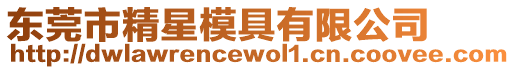 東莞市精星模具有限公司
