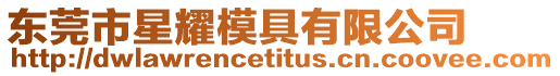 東莞市星耀模具有限公司