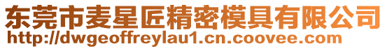 東莞市麥星匠精密模具有限公司