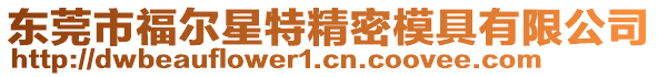 東莞市福爾星特精密模具有限公司