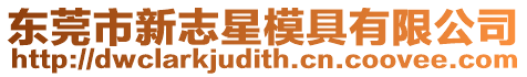 東莞市新志星模具有限公司