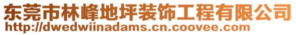 東莞市林峰地坪裝飾工程有限公司