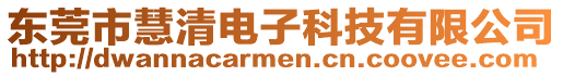 東莞市慧清電子科技有限公司