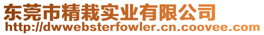 東莞市精栽實業有限公司