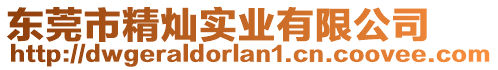 東莞市精燦實業(yè)有限公司
