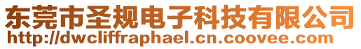 東莞市圣規電子科技有限公司