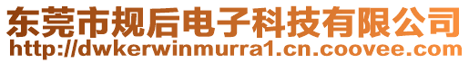東莞市規后電子科技有限公司