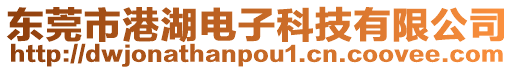 東莞市港湖電子科技有限公司