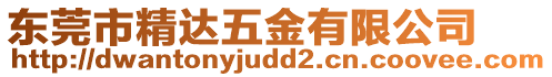 東莞市精達五金有限公司