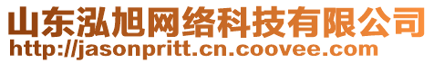 山東泓旭網(wǎng)絡(luò)科技有限公司