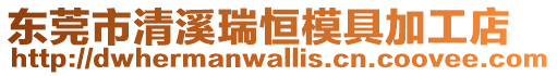 東莞市清溪瑞恒模具加工店