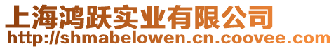 上海鴻躍實業有限公司