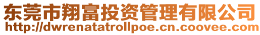 東莞市翔富投資管理有限公司