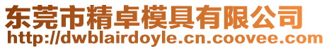 東莞市精卓模具有限公司