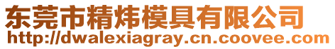 東莞市精煒模具有限公司