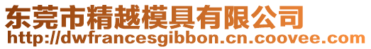 東莞市精越模具有限公司