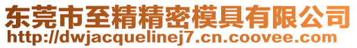 東莞市至精精密模具有限公司