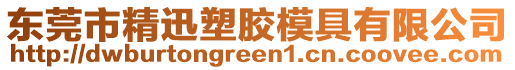 東莞市精迅塑膠模具有限公司