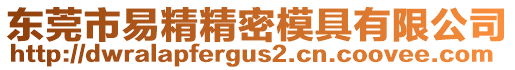 東莞市易精精密模具有限公司