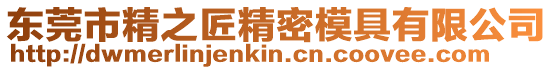 東莞市精之匠精密模具有限公司