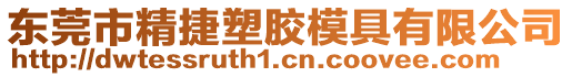 東莞市精捷塑膠模具有限公司