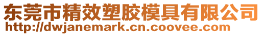 東莞市精效塑膠模具有限公司